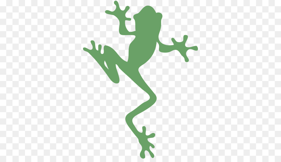 Tree Frog Vector at GetDrawings | Free download