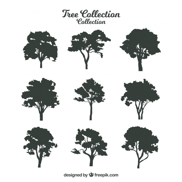 626x626 Trees Vectors, Photos And Psd Files Free Download