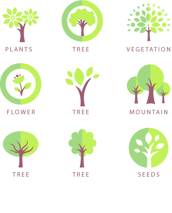 550x679 Tree Icon Design Logo Icon