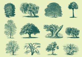 286x200 Free Vector Tree Illustration