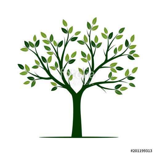 500x500 Green Tree. Vector Illustration. Stock Image And Royalty Free