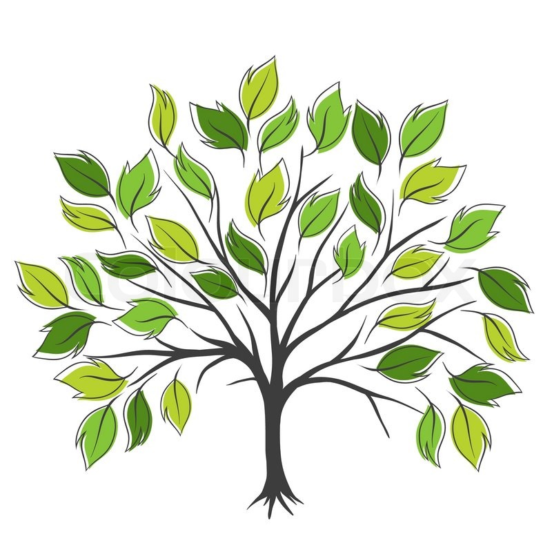 800x800 Symbolic Tree With Single Leaves Vector Illustration Stock