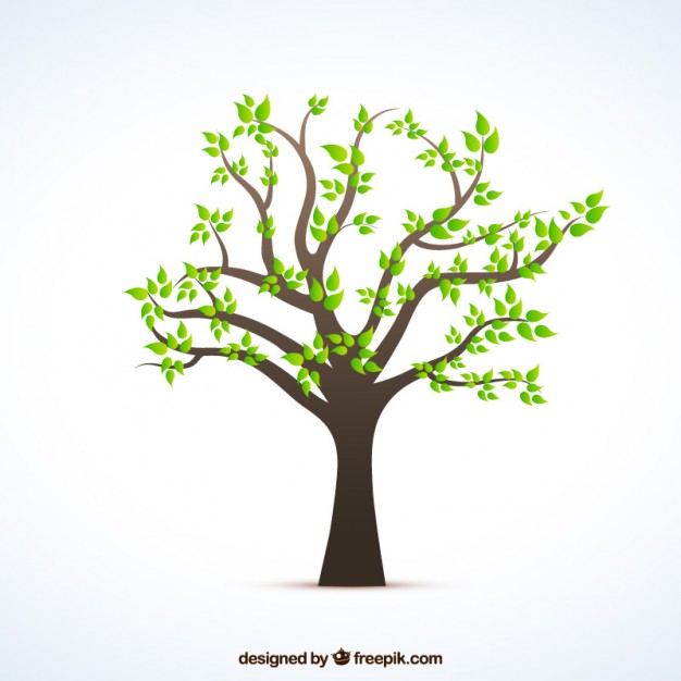 626x626 Tree Vectors, Photos And Psd Files Free Download