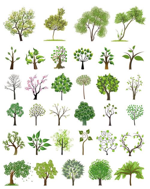 500x631 Tree Illustrations Vector Free Stock Vector Art Amp Illustrations