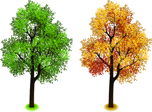 496x368 Vector Illustrator Isometric Tree Free Vector Download (223,529