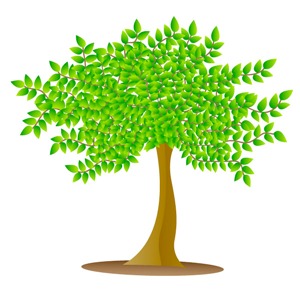 300x300 Tree Illustration