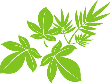 443x336 Tree Leaf Vector Free Vector Download (8,398 Free Vector) For