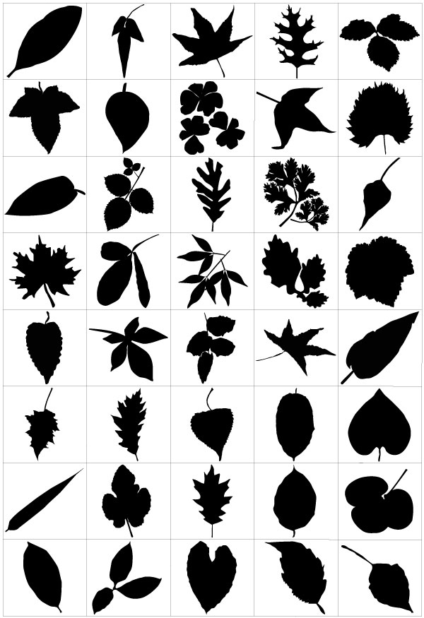600x875 Free Graphics Lush Vector Trees And Summer Leaves