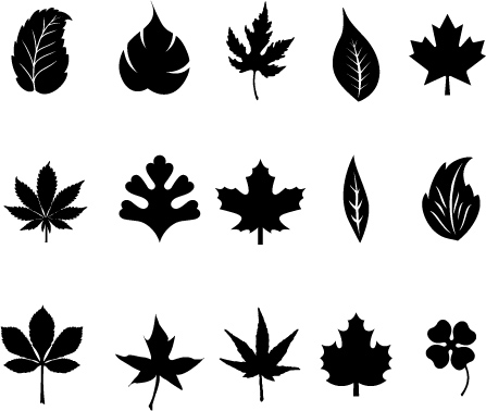 447x378 Black Leaves Vector Free Vector 4vector