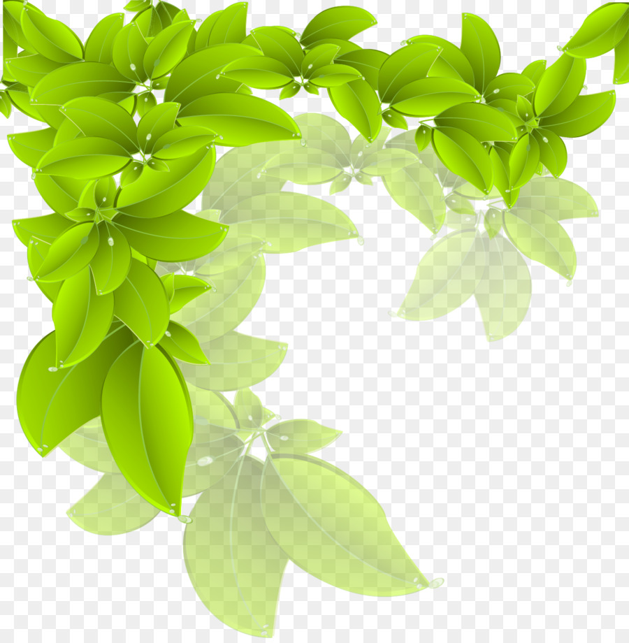 900x920 Branch Green Leaf