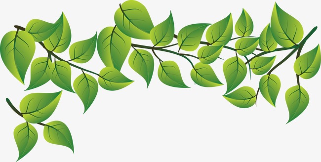 650x328 Fashion Fresh Green Leaves Vector, Leaf Material, Creative Green