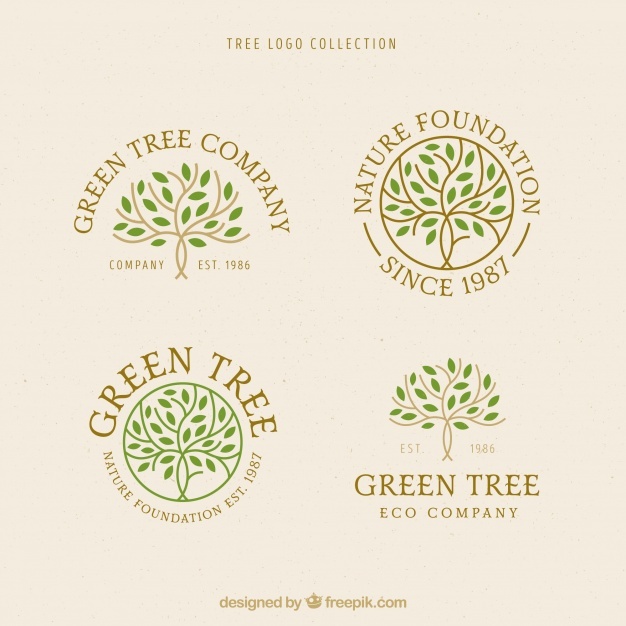 626x626 Tree Logo Vectors, Photos And Psd Files Free Download