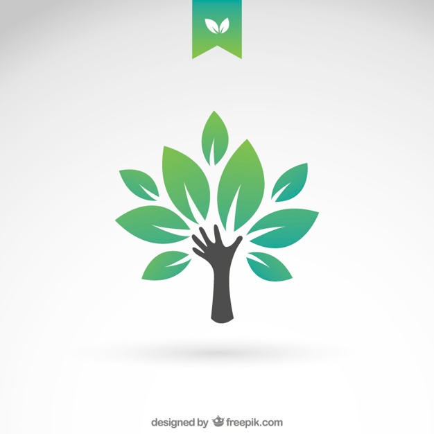 626x626 Tree Vectors, Photos And Psd Files Free Download