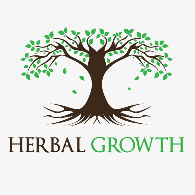 650x651 Vector Tree Of Life, Tree Vector, Plant, Logo Png And Vector For