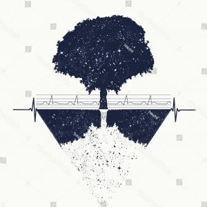 300x300 Free Clipart Images Tree Of Life Orangiausa