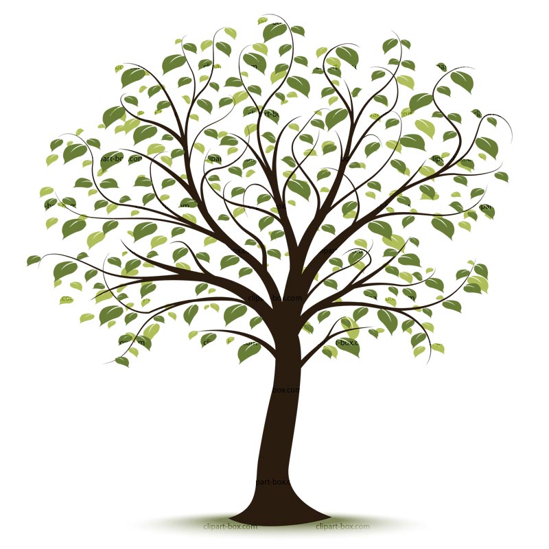 800x800 Vector Clipart Tree