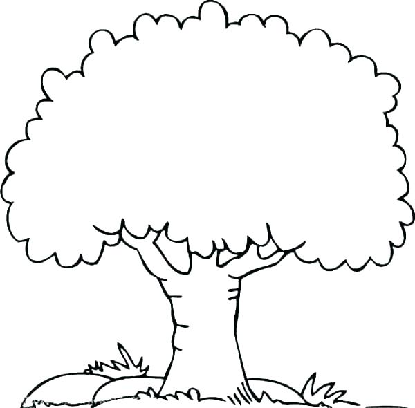 600x590 Informative Outline Images Of Trees Tree Stock Vector Illustration