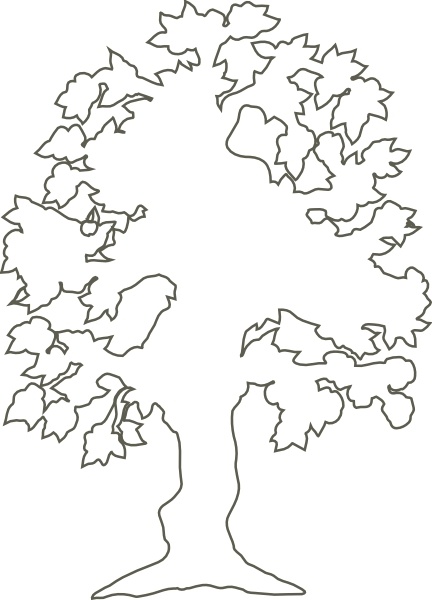 432x600 Simple Flowering Tree Outline Clip Art Free Vector In Open Office