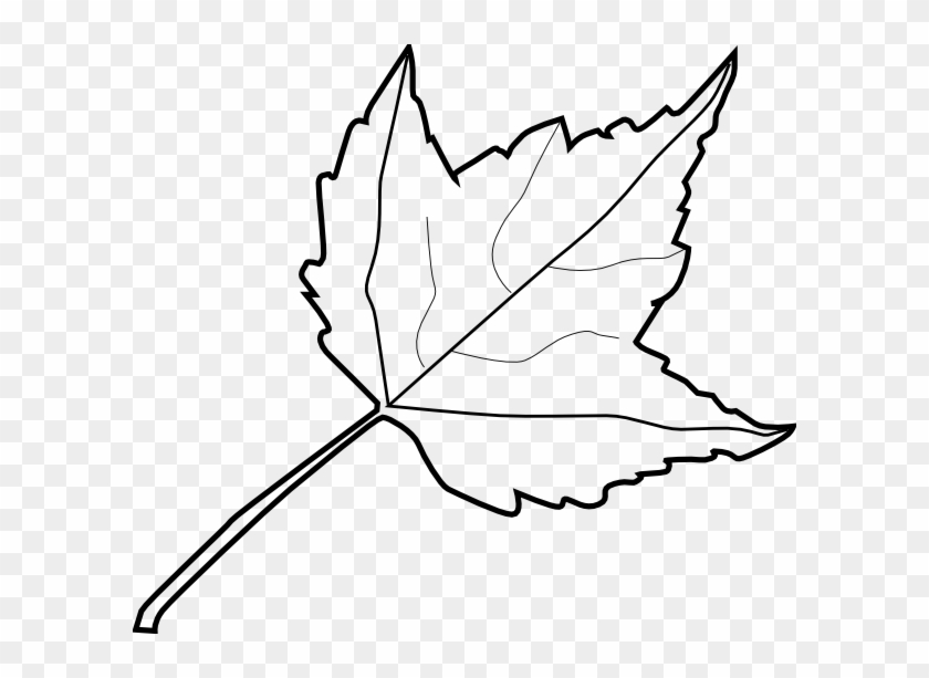 840x613 Tree Outline Coloring Book Maple Leaf Clip Art At Vector