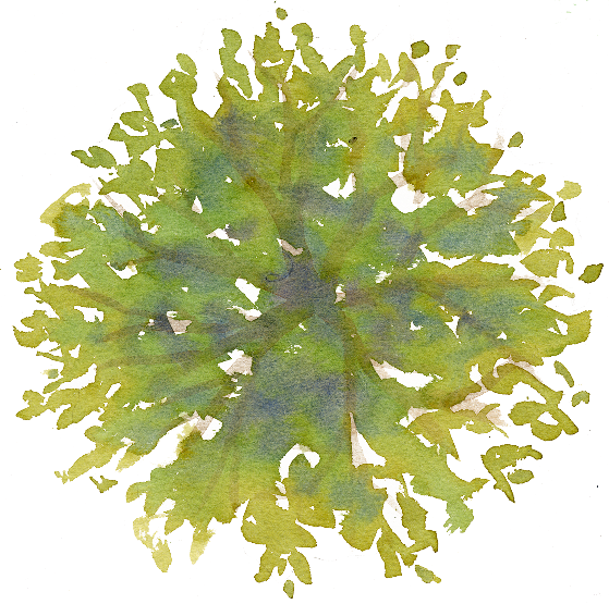 559x555 19 Vector Landscapes Top View Huge Freebie! Download For