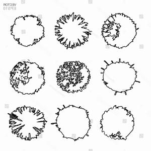 300x300 Vector Set Tree Plan Landscape Design Sohadacouri