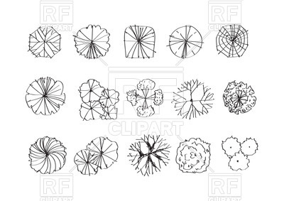 Tree Plan Vector Free Download at GetDrawings | Free download