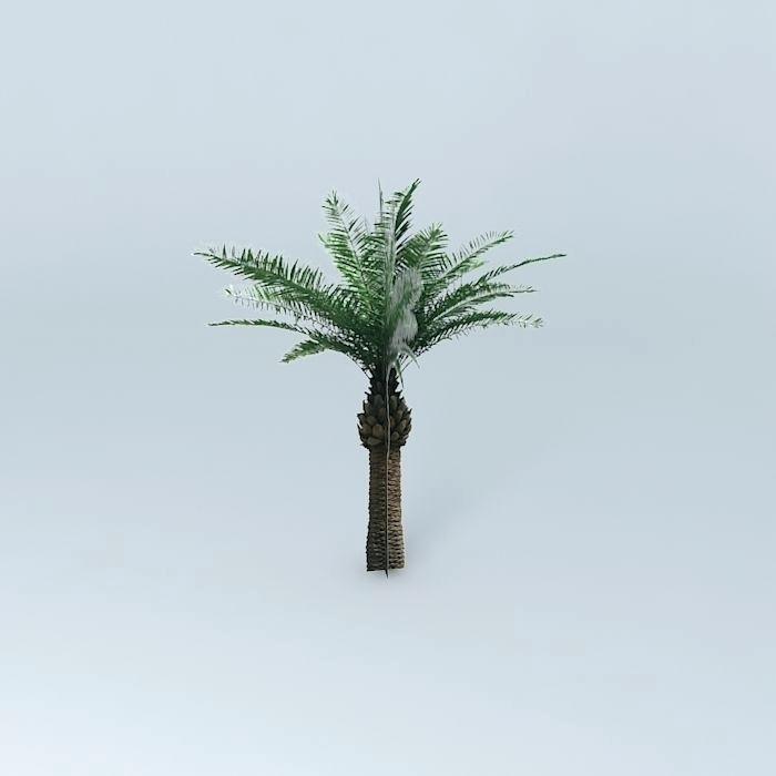 700x700 Big Trees Vector Free Tree Download Plan Png Mcari.co