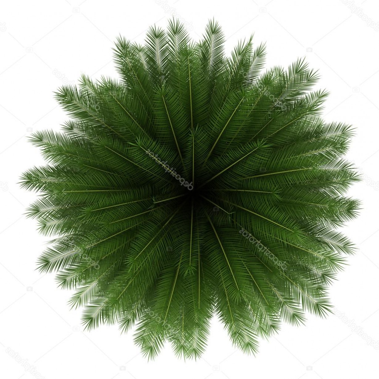 1228x1228 Stock Photo Top View Of Canary Island Rongholland