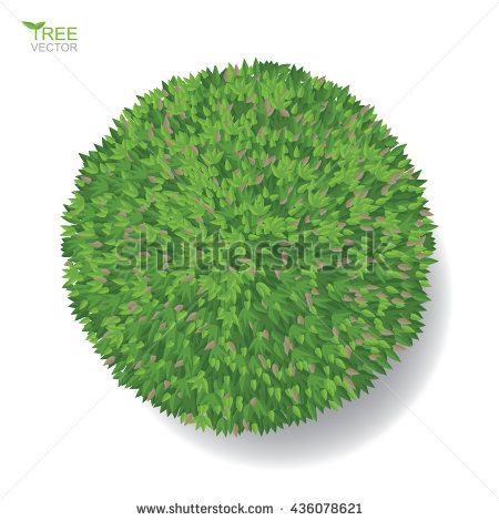 450x470 Vector Tree Plan Or Tree Top View For Landscape Design Project