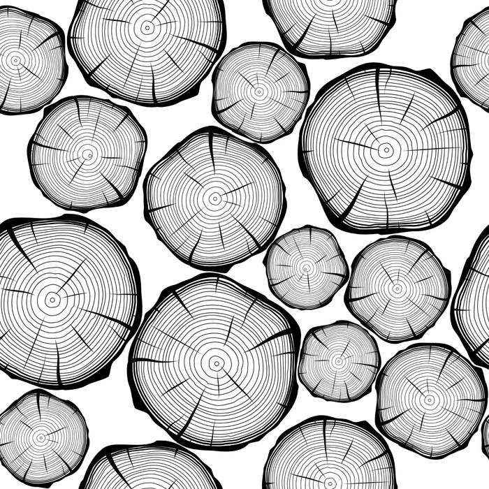 700x700 Seamless Pattern With Tree Rings. Vector Background Wall Mural