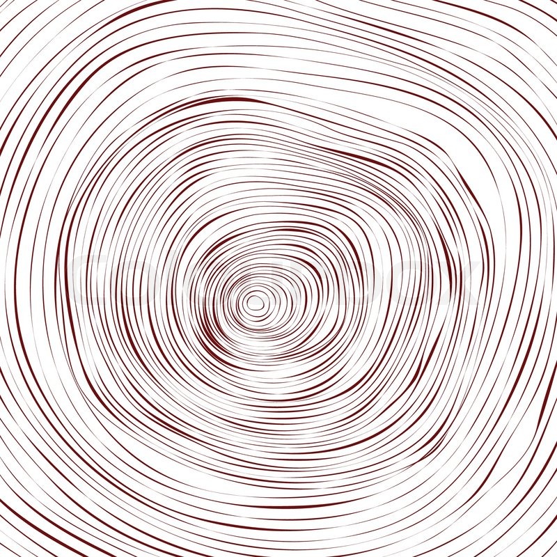 800x800 Tree, Wood, Slice, Natural, Years, Line, Circle, Ring, Stock