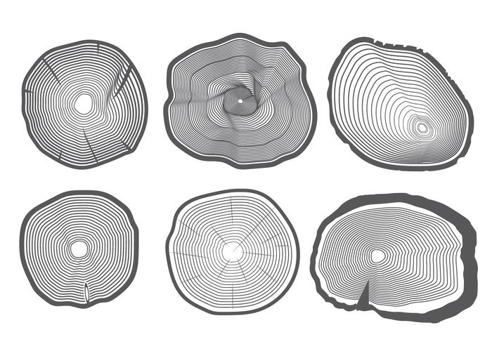 700x490 Tree Rings Vector