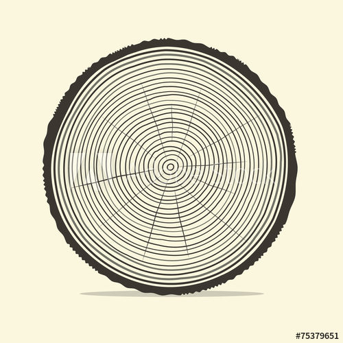 500x500 Tree Rings Vector Illustration