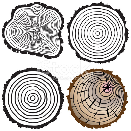 Tree Rings Vector at GetDrawings | Free download