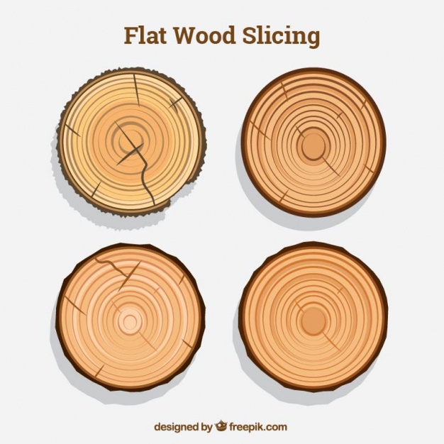 626x626 Collection Of Tree Rings Vector Free Download