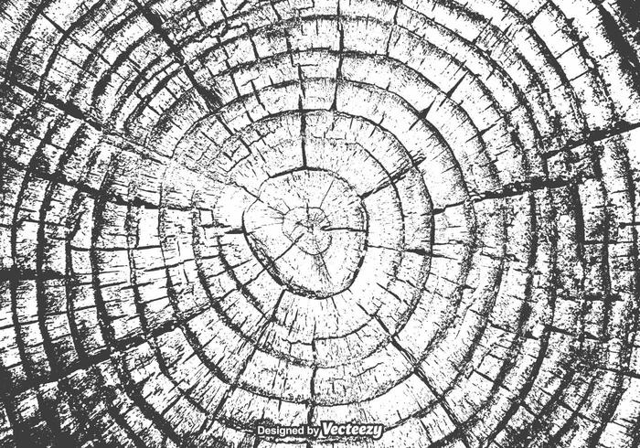 700x490 Free Tree Rings Vector Texture
