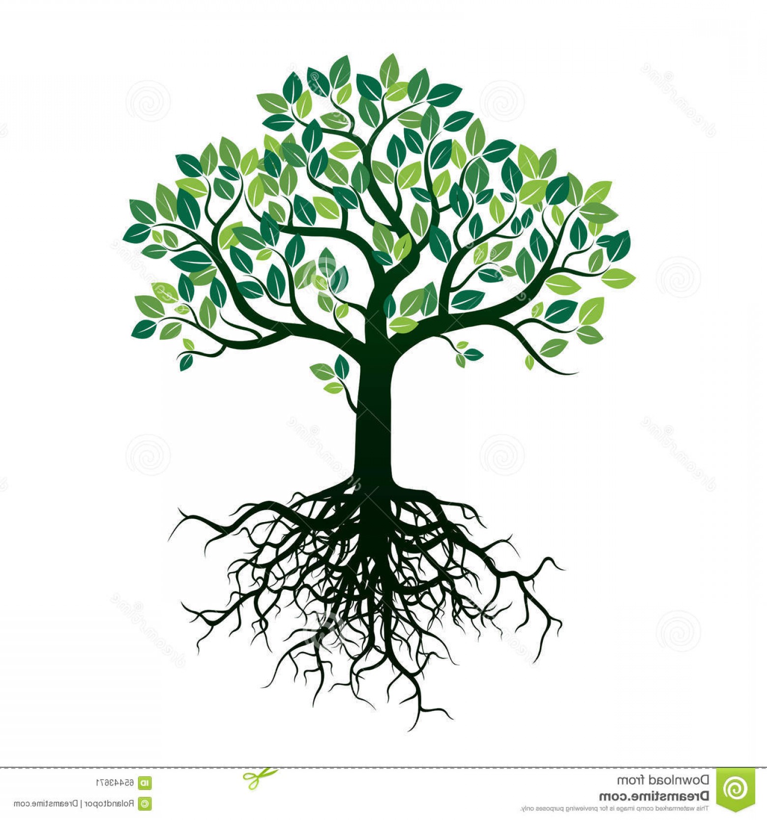 Tree Roots Vector at GetDrawings | Free download