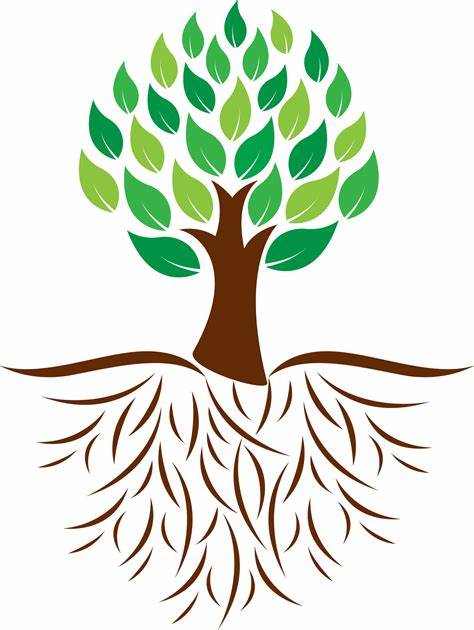 Tree Roots Vector at GetDrawings | Free download