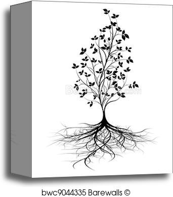 342x390 Canvas Print Of Young Tree Roots, Vector Background Barewalls