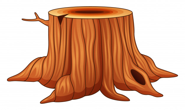 626x371 Tree Stump Isolated On A White Background Vector Premium Download