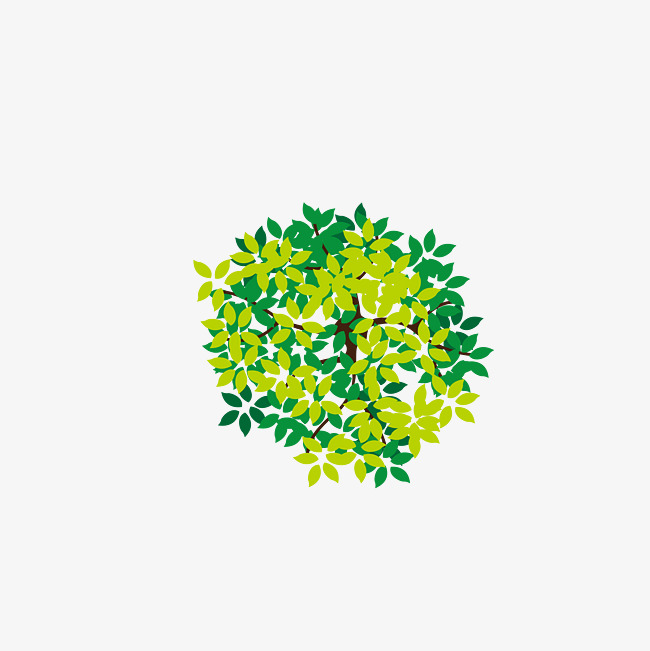 650x651 Lush Tree Top, Tree Vector, Tree Clipart, Vector Diagram Png And