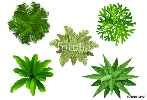 500x340 Plan Garden, Tree Top View Stock Image And Royalty Free Vector