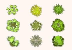 286x200 Flat Top View Of Tree Vectors