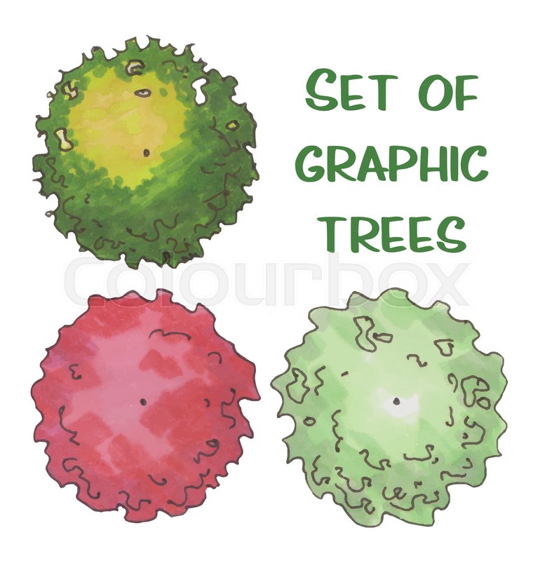 777x800 Hand Drawn Tree Top Collection, Trees And Bushes, Vector Stock