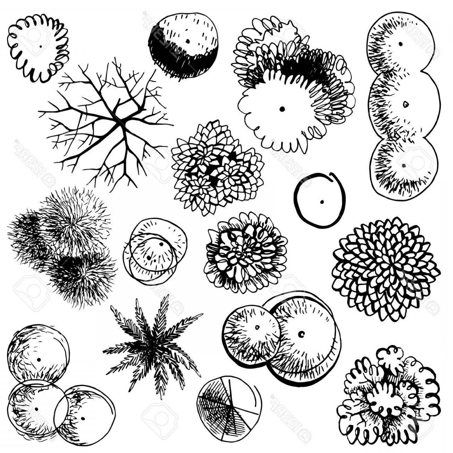 1560x1560 Photostock Vector Hand Drawn Trees Top View Easy To Use In Your