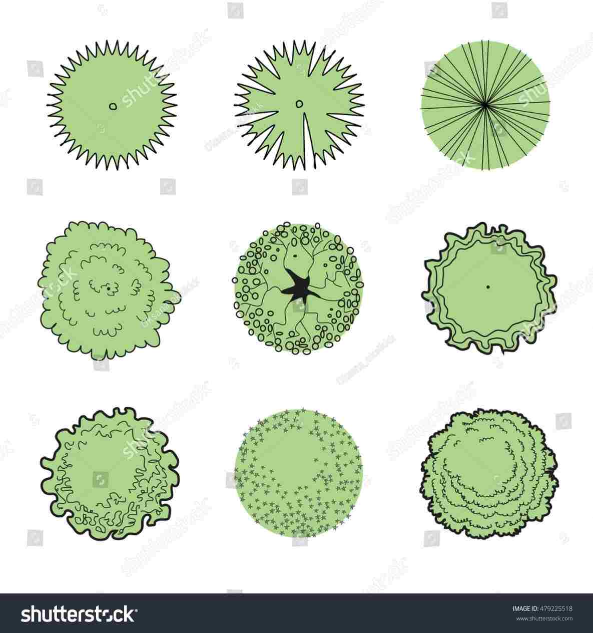 1185x1264 Set Trees Top View Sketch Plan Architectural Stock Vector