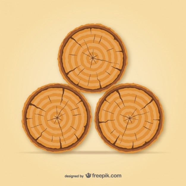 626x626 Tree Trunk Vector Free Download