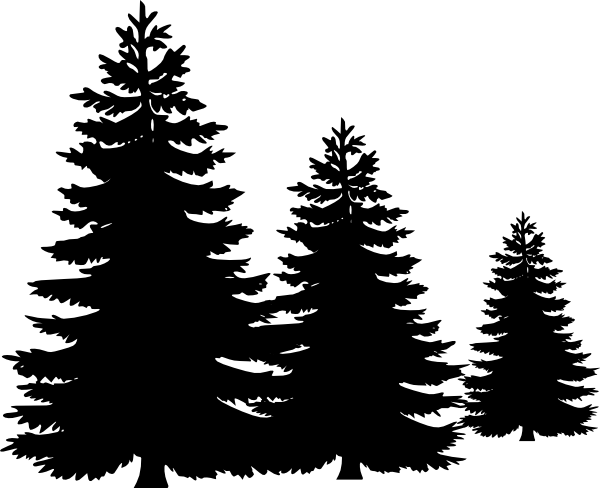 600x488 Line Clipart Tree