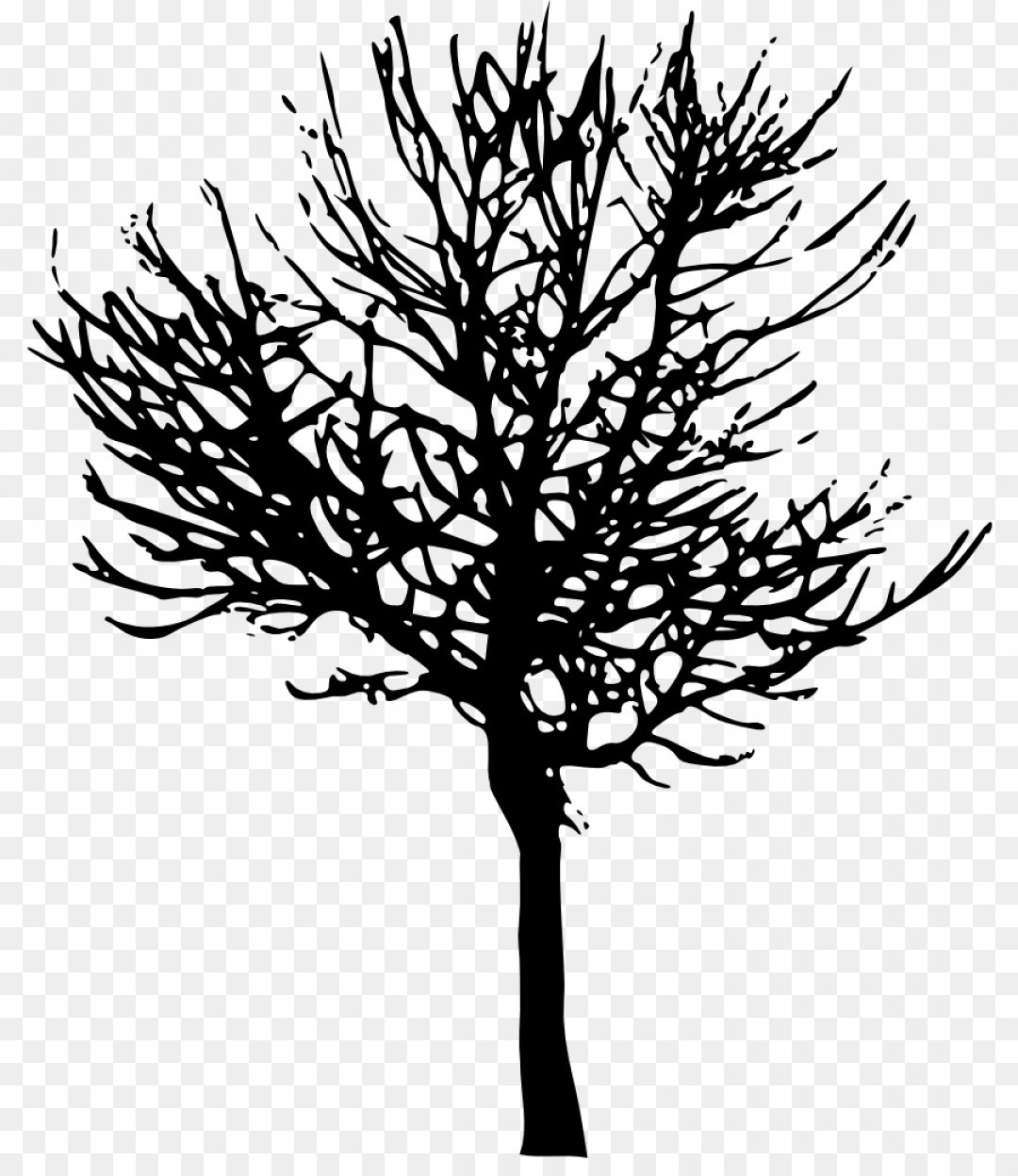 1080x1248 Png Tree Branch Desktop Wallpaper Clip Art Tree Vector Orangiausa