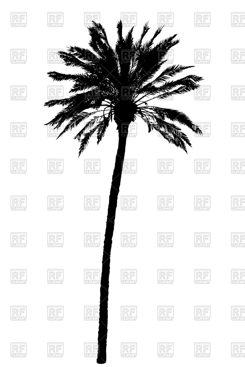 800x1200 Palm Tree Silhouette Vector Image Vector Artwork Of Plants And